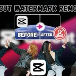 capcut Watermark Remover
